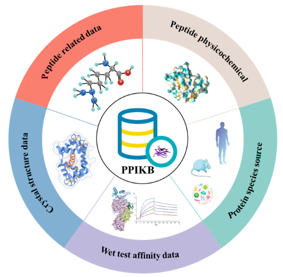 PPIKB overview